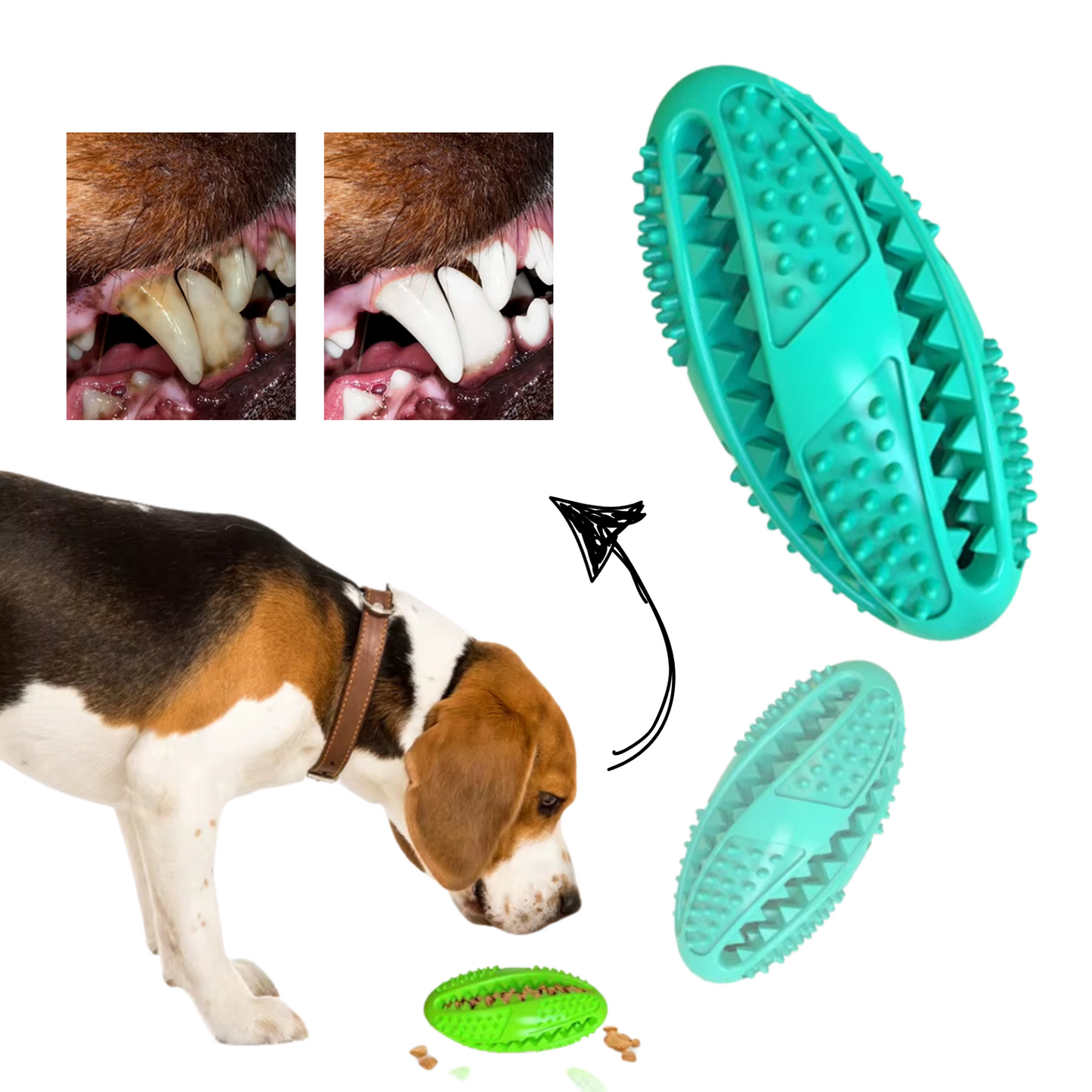 Interactive Dog Toy Rubber Chew Ball & Treat Dispenser