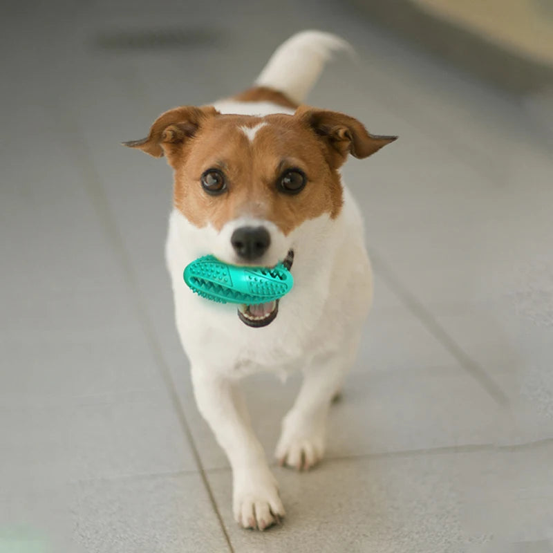 Interactive Dog Toy Rubber Chew Ball & Treat Dispenser