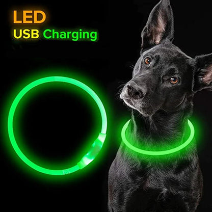 LED Luminous Dog Collar