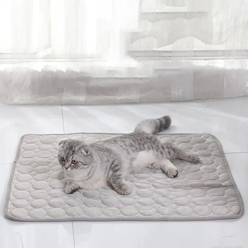 Pet Ice Cooling Mat