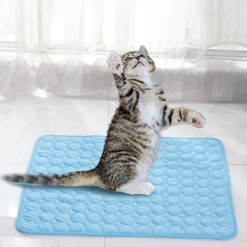 Pet Ice Cooling Mat