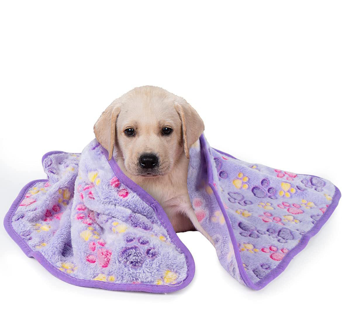 Soft Fluffy Pet Blanket